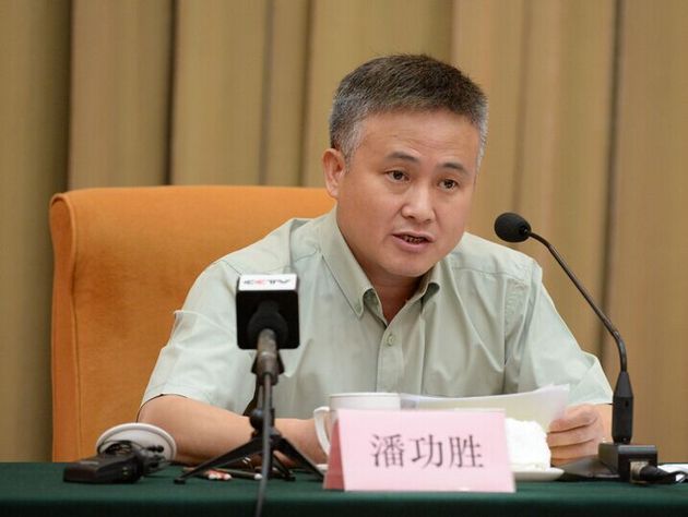 1452399826214271.jpg 潘功胜.jpg