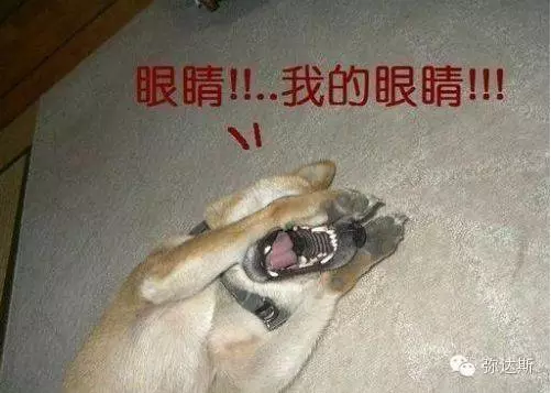 1453271688572882.png QQ图片20160120143439.png