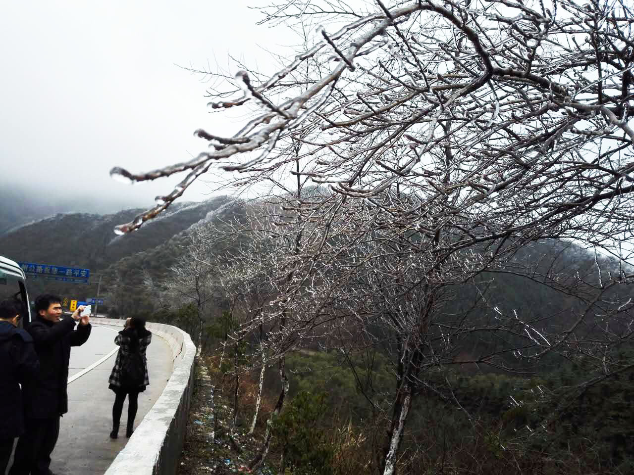 1453451073585168.jpg webwxgetmsgimg.jpg