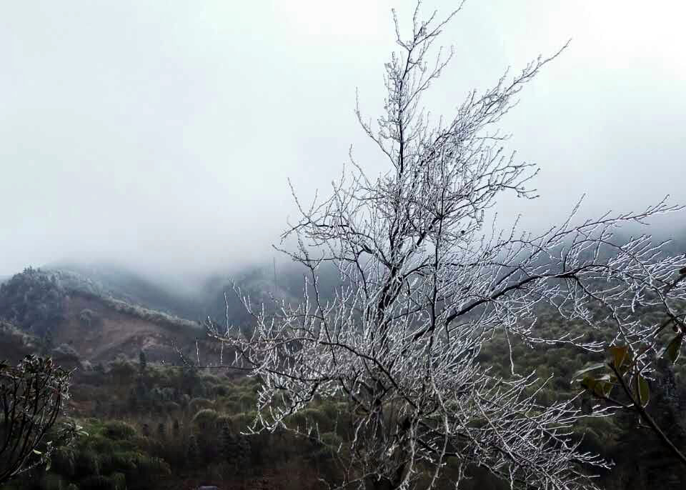 1453452337481200.jpg mmexport1453442407636-.jpg