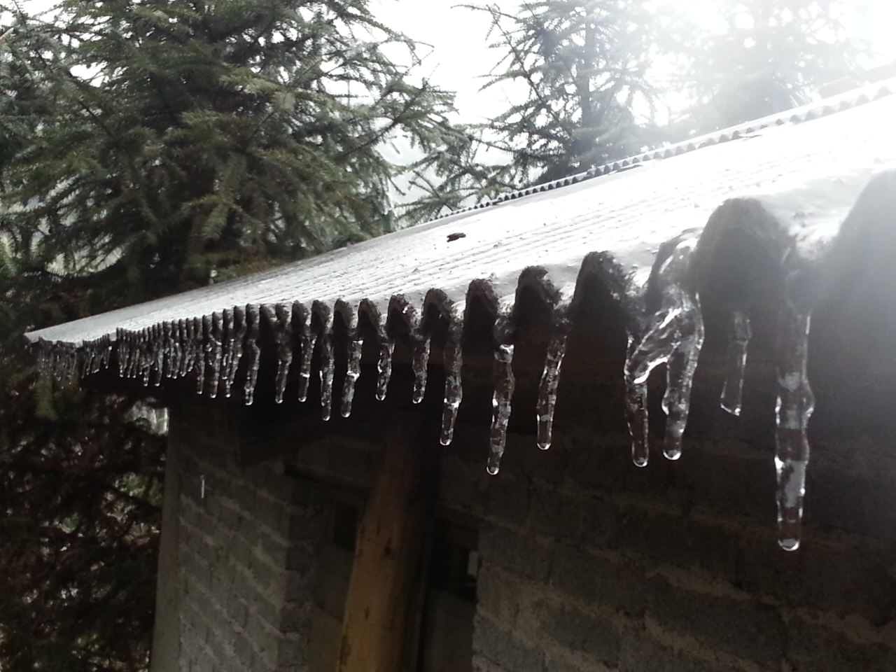 1453456347137655.jpg 2020226220.jpg