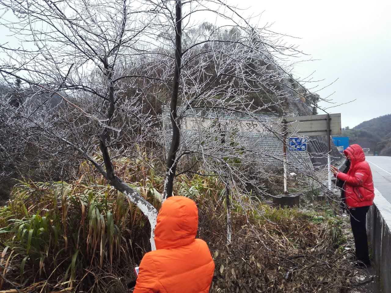 1453457819903462.jpg 311144691.jpg