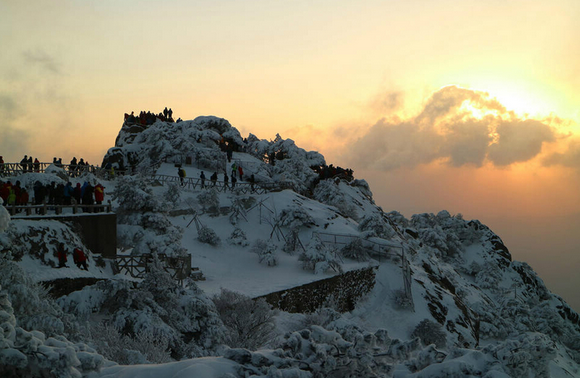 1453800218119582.png lvyou.png