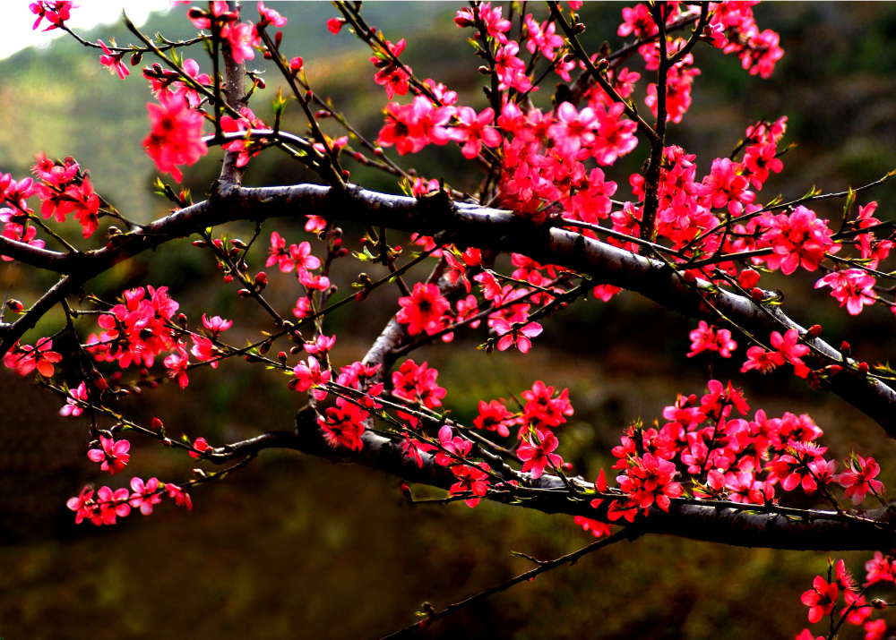 1453805513529058.png 1.png