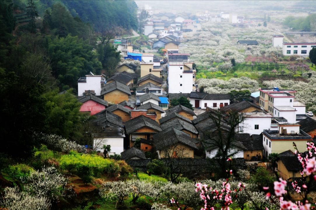 1453805726698194.png 3.png