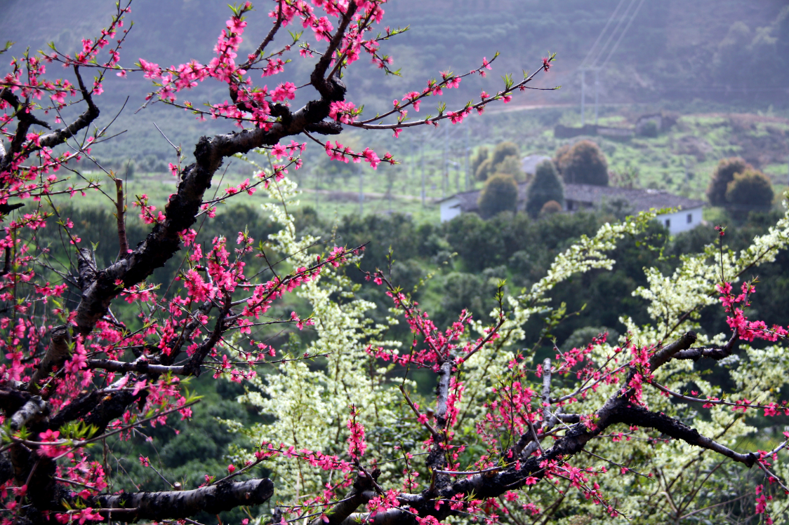 1453806403294030.png 4.png