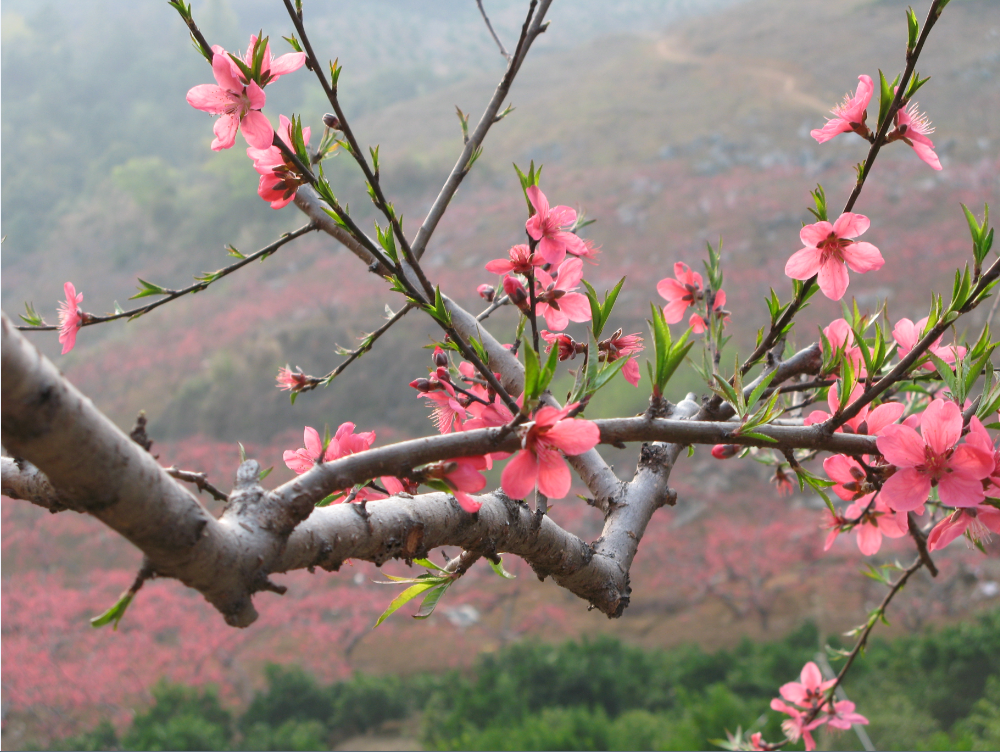 1453806419132821.png 5.png