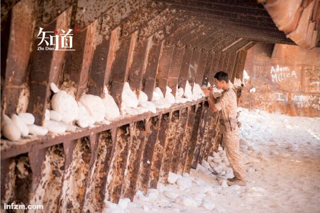 1458983322857525.jpg 3.jpg