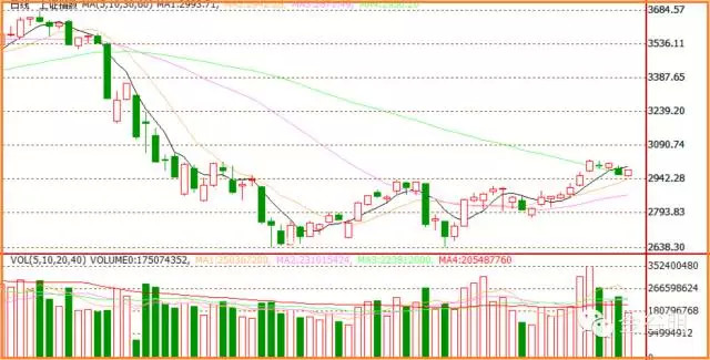 1459061921581390.jpg 1.jpg