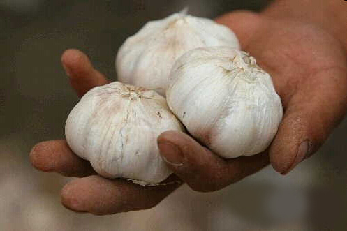 1460443625729259.jpg 炒货8.jpg