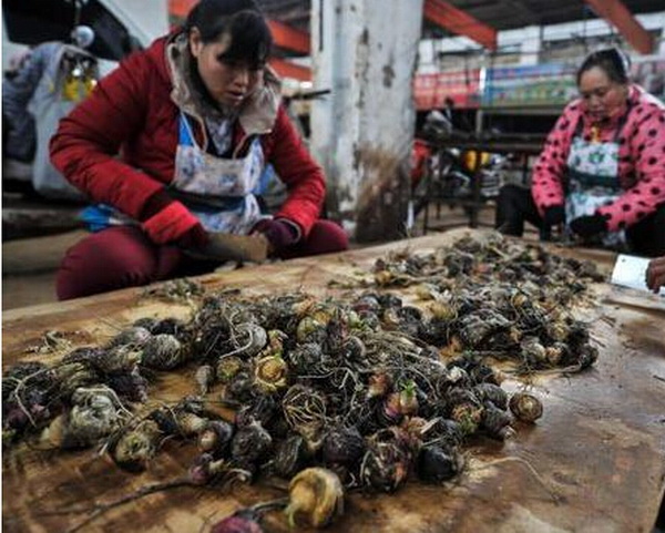 1460449945495809.jpg 炒货10.jpg