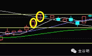 1462322101370994.jpg 1.jpg