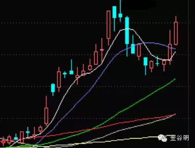 1462322323157460.jpg 1.jpg