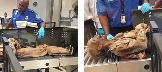 1463527926396890.jpg 3.jpg