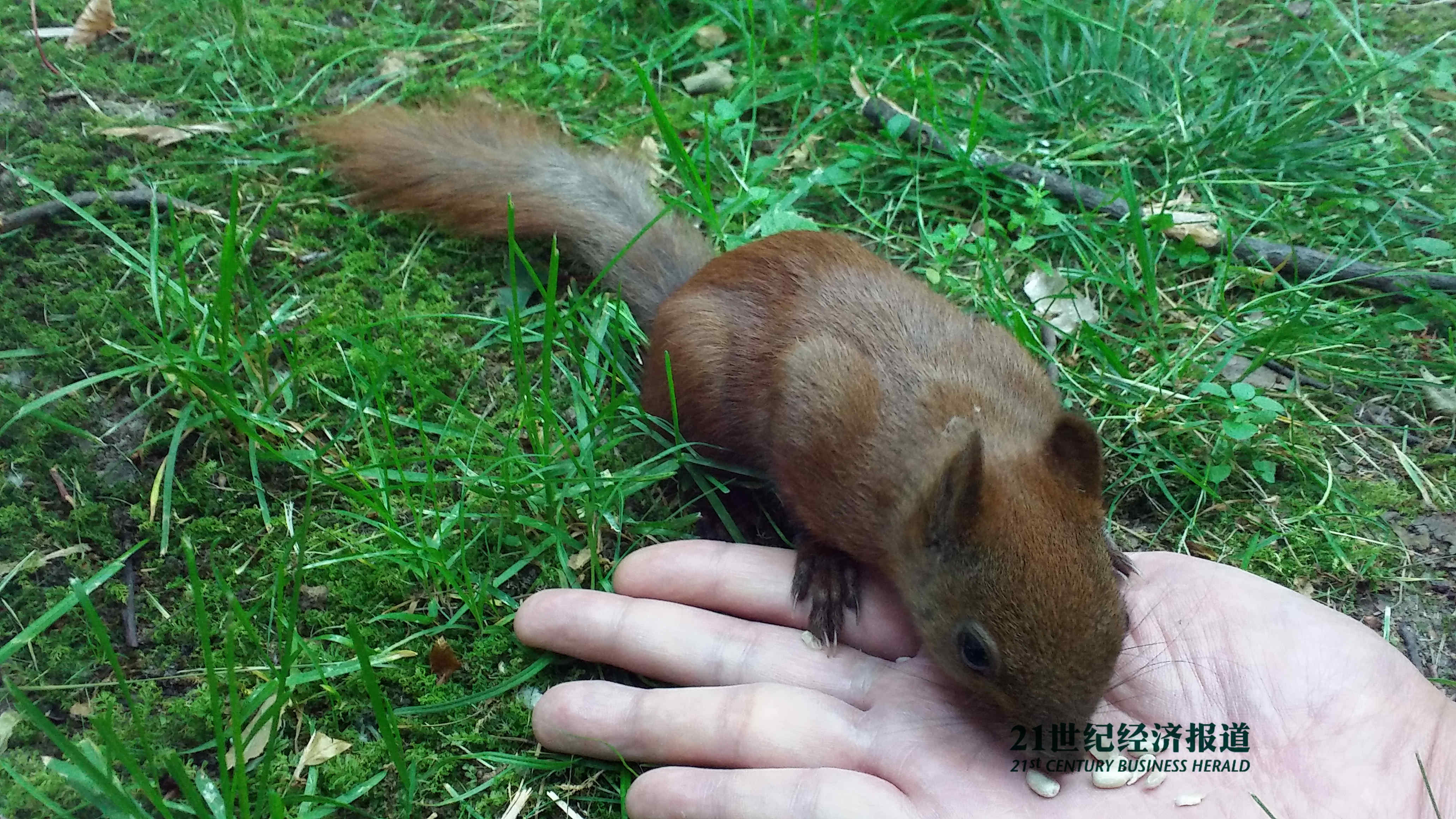 1466342892205482.jpg 20160610_095300.jpg