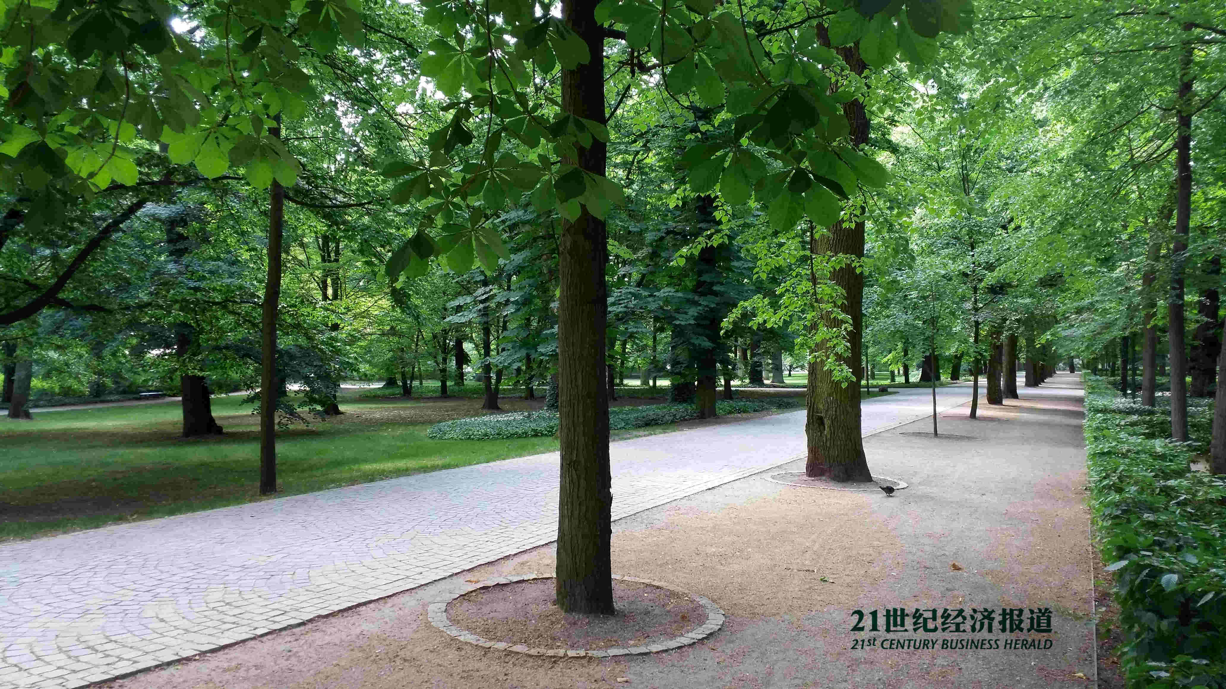 1466343258584412.jpg 20160610_100615_副本.jpg