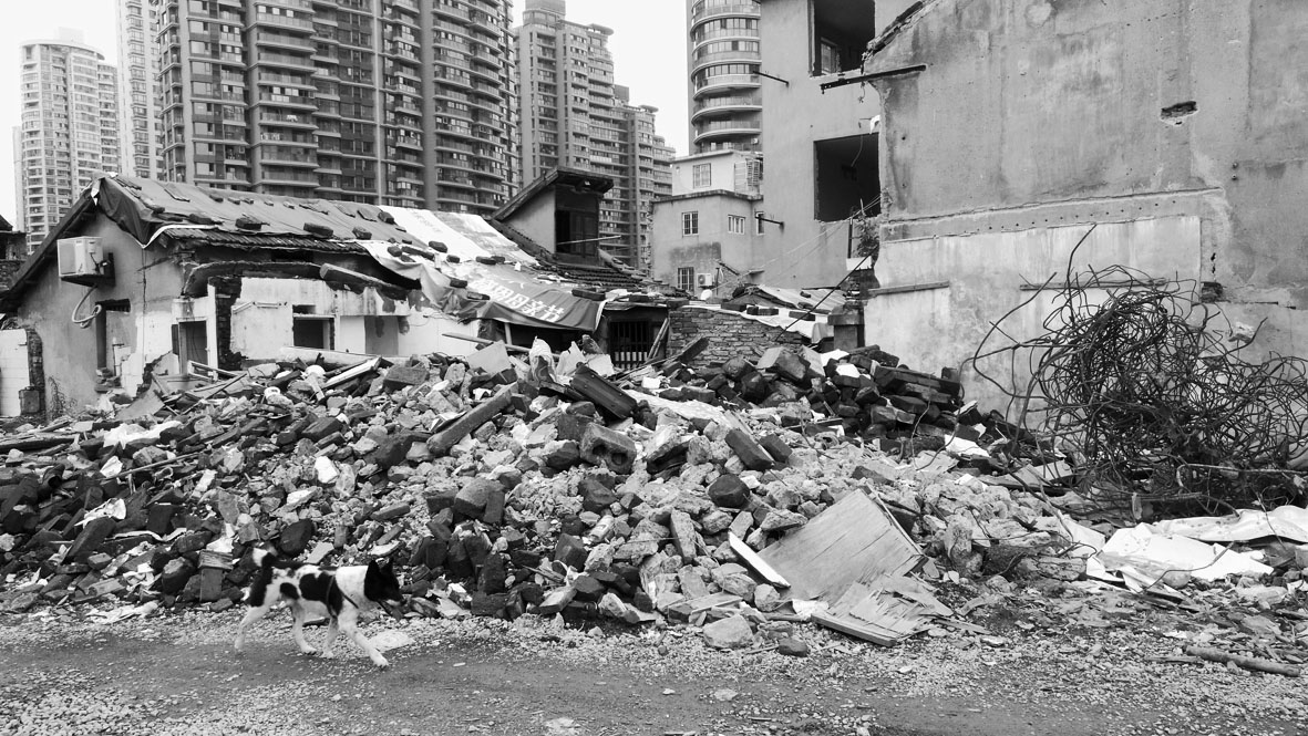1466603472779952.jpg 7光复里废墟,一条流浪狗走过。.jpg