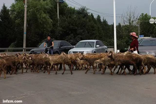 1469788242182870.jpg 2.jpg