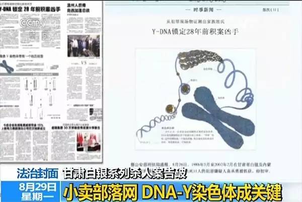 白银案7.jpg