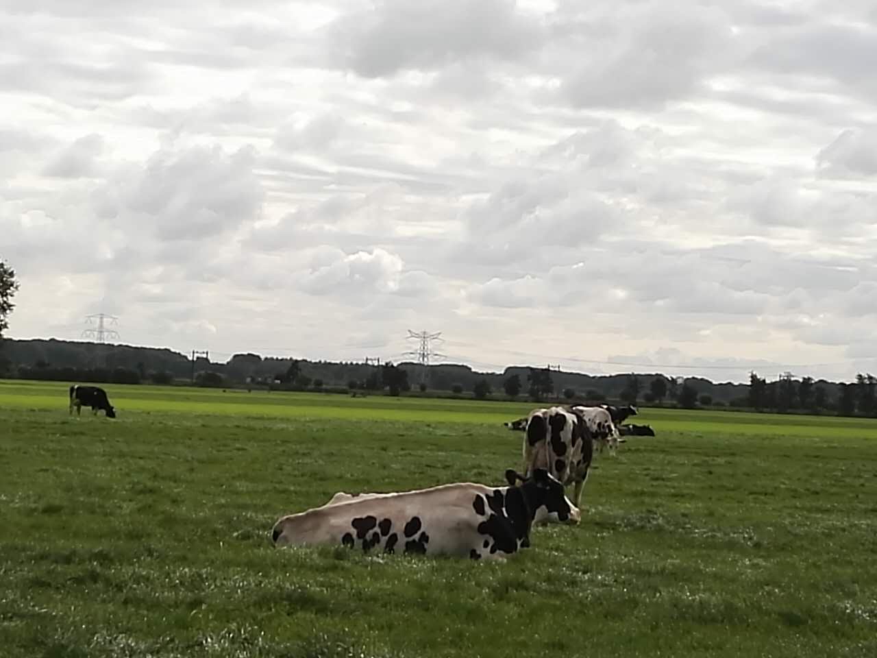 1472564853945122.jpg 1355346139.jpg