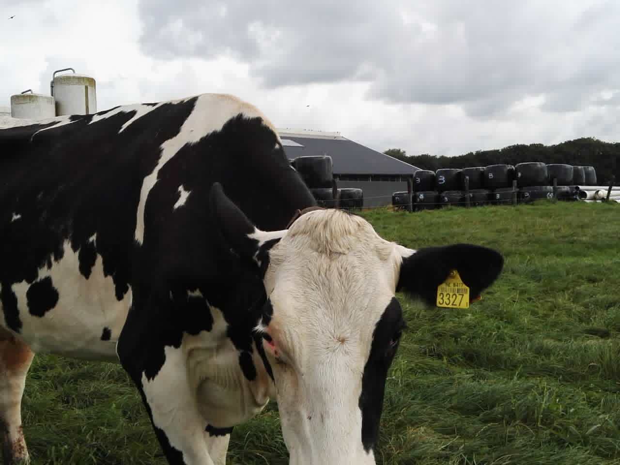 1472565307102797.jpg webwxgetmsgimg (3).jpg