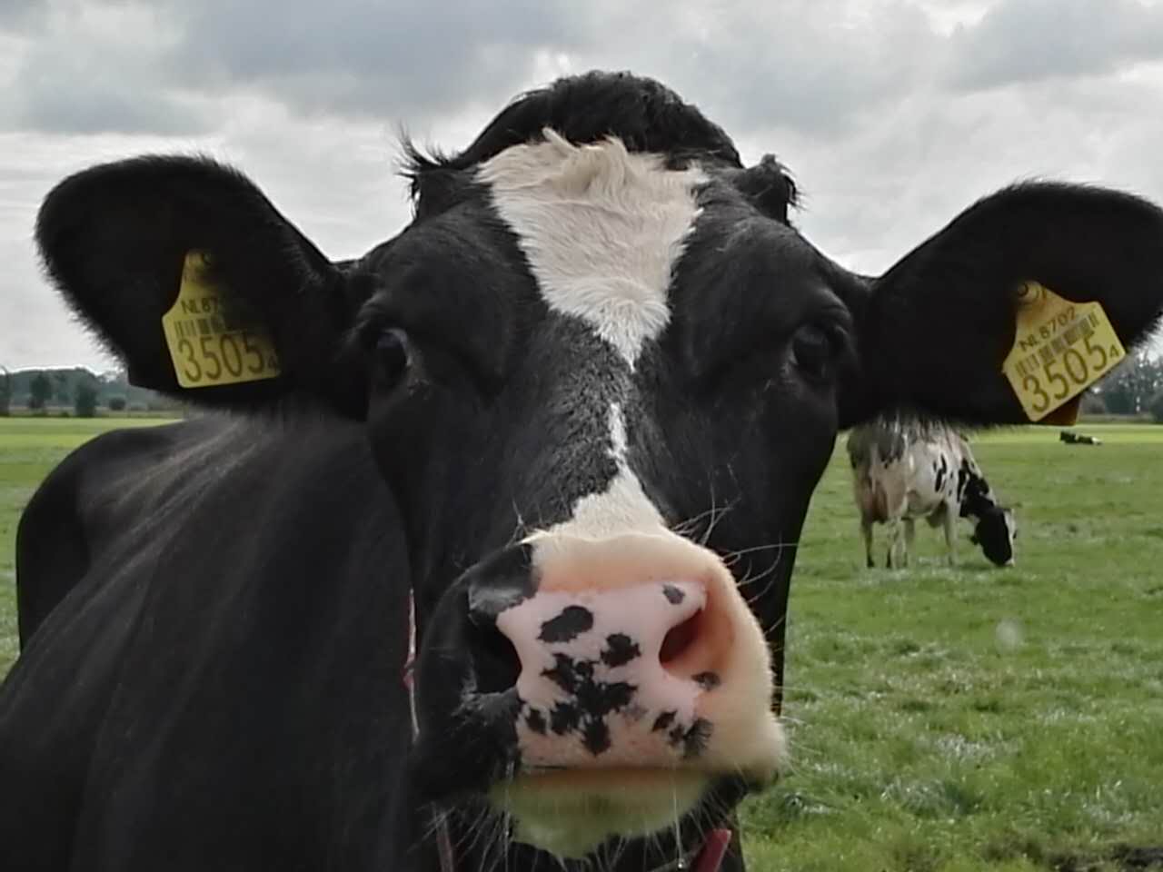 1472565343683996.jpg webwxgetmsgimg (4).jpg