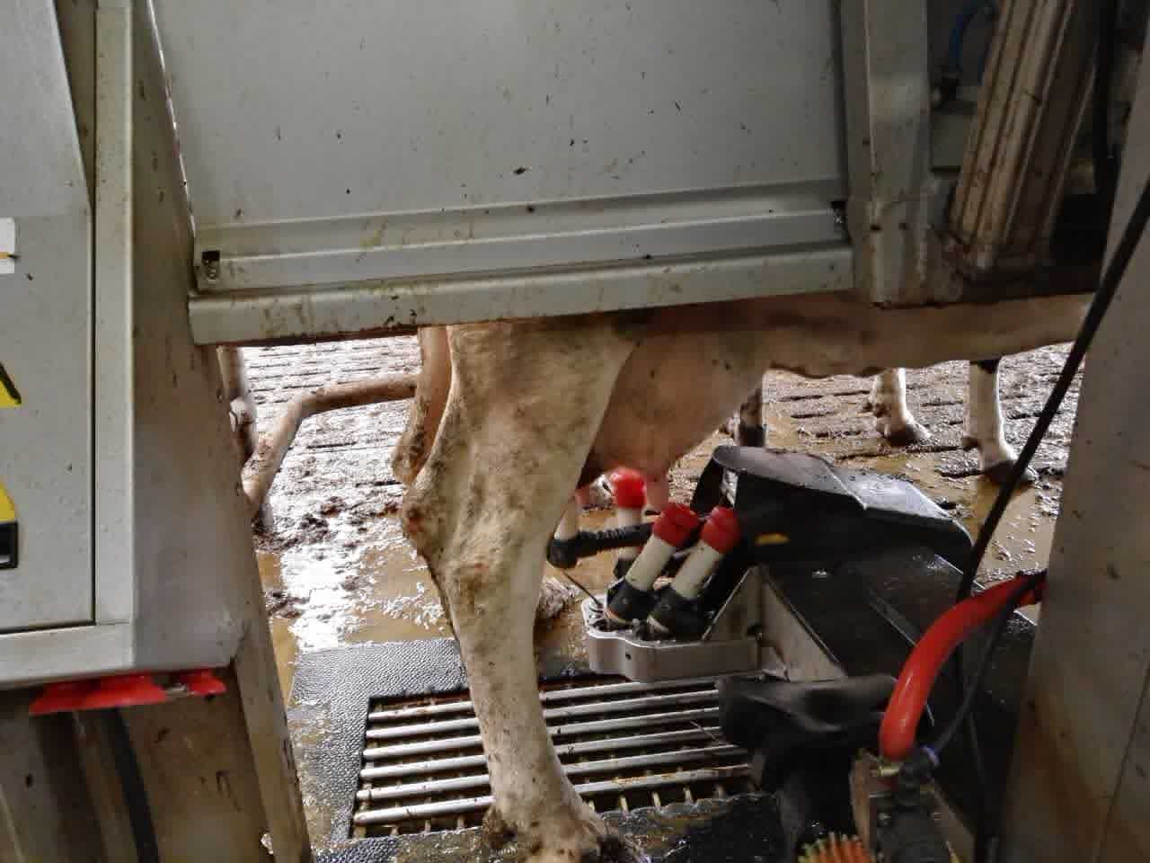 1472565612875746.jpg webwxgetmsgimg (8).jpg