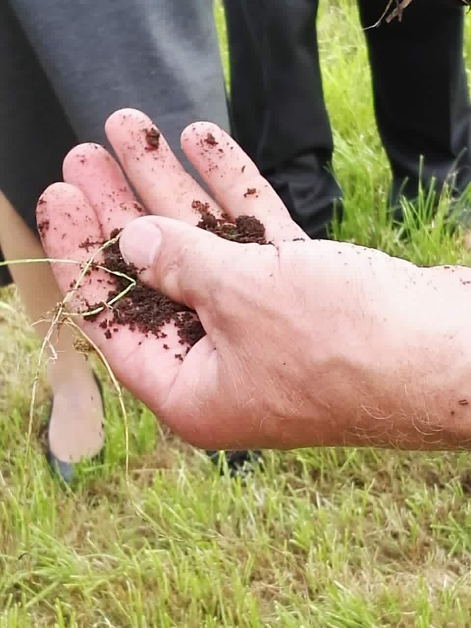 1472566314452537.jpg webwxgetmsgimg (17).jpg