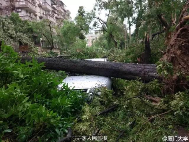 1474108987133703.jpg 厦大8.jpg