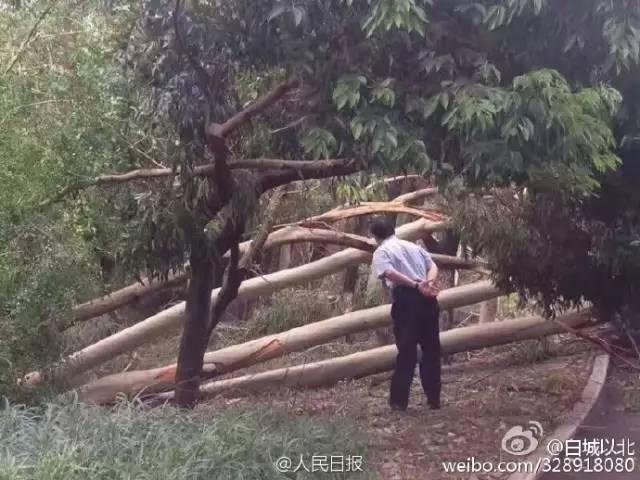 1474109008418319.jpg 厦大5.jpg