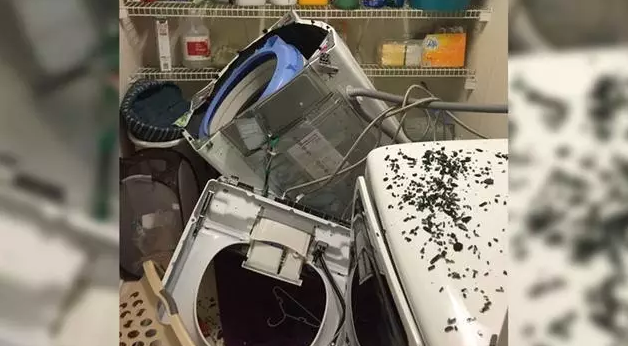 1478328479468673.png 20161105144742.png