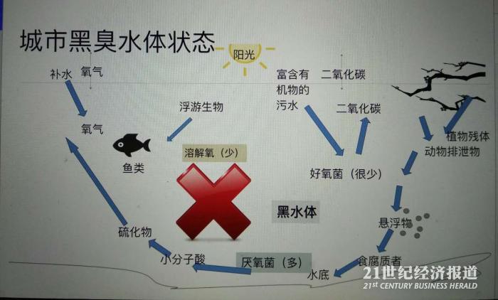 1478576245697509.jpg 2.jpg