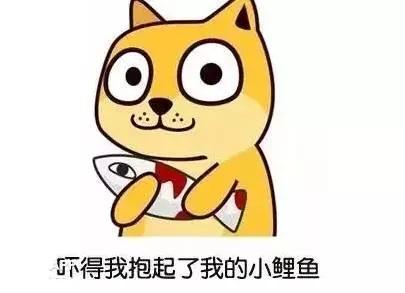 1478749945943653.jpg 2.jpg