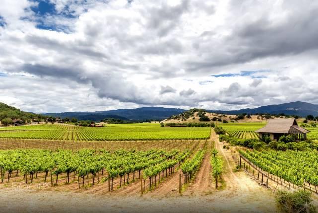 1490582692294656.jpg 10.jpg