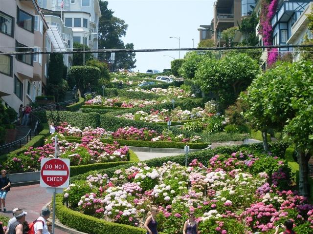 1490583287227781.jpg 28.jpg