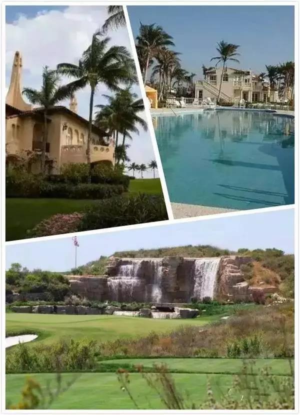 1490878531533769.jpg 1.jpg