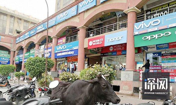 1491886577304521.jpeg 5.jpeg