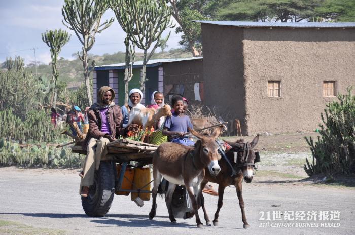 1494644117984945.jpg DSC_0099.jpg