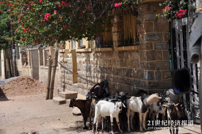 1494646015107162.jpg DSC_0042.jpg