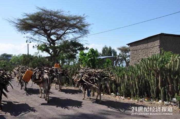 1494646599657379.jpg DSC_0077.jpg