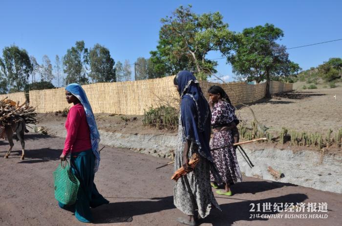 1494646648994308.jpg DSC_0070.jpg