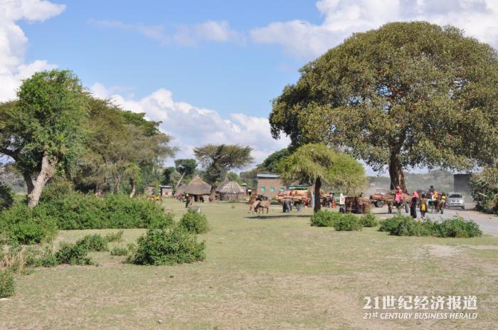 1494646900405274.jpg DSC_0089.jpg