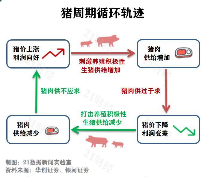 财经 > 正文  多家券商表示,猪周期拐点确立,新一轮猪价上涨周期已经