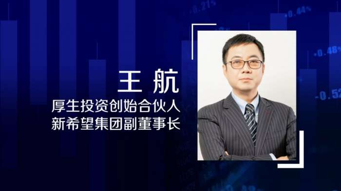 全球财经连线|厚生投资创始合伙人,新希望集团副董事长王航:中国是