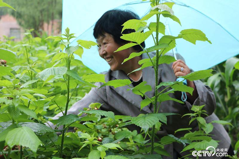 马巴村村民苏小兰