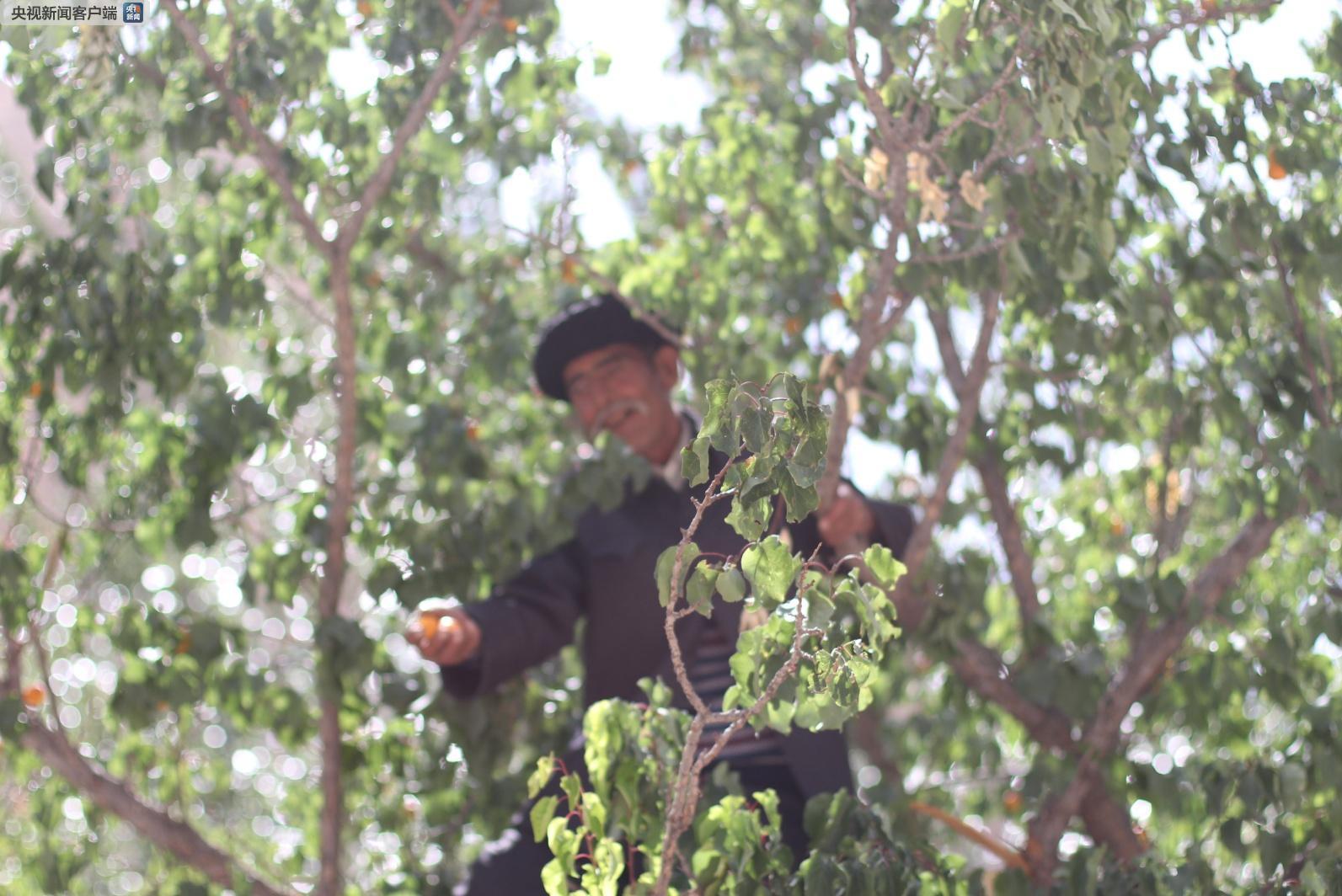 1531963564678078.jpg 1531963564678078.jpg