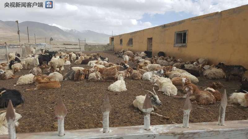 1531963680936432.jpg 1531963680936432.jpg