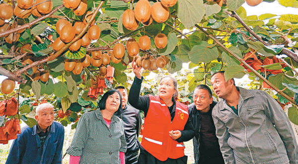 中国扶贫事业成就盘点伟哉中国扶贫