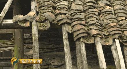 1496137555225576.jpg 2_副本.jpg