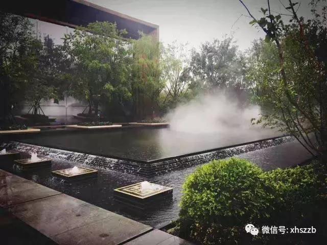 1496155073428399.jpg 2.webp (2).jpg